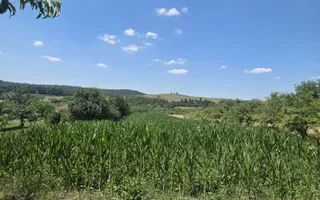 Casa de vânzare cu teren generos | Sumugiu | Bihor - Poză 30