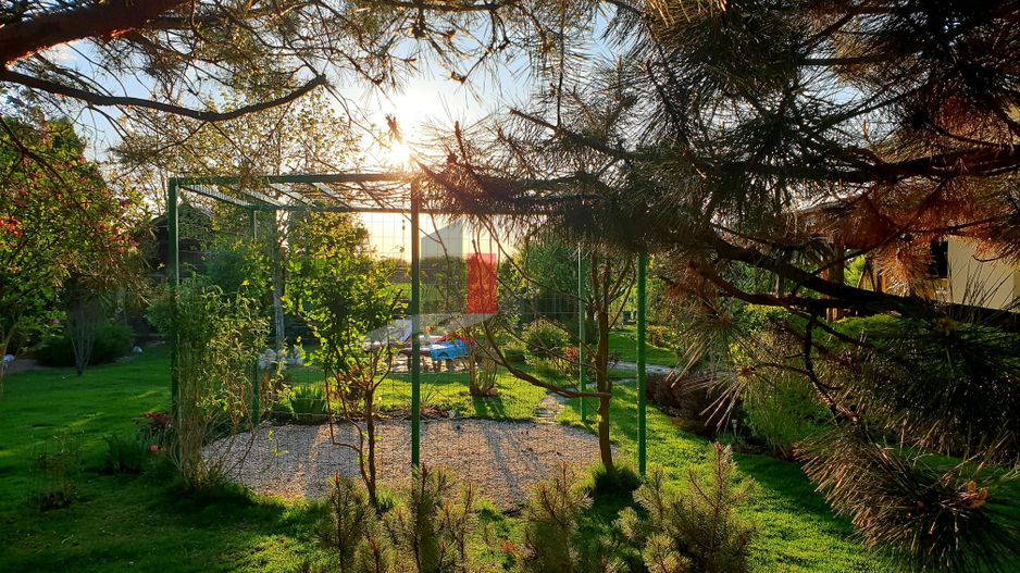 Vila cu gradina impresionanta | Prosumator | Tancabesti - Poză 12