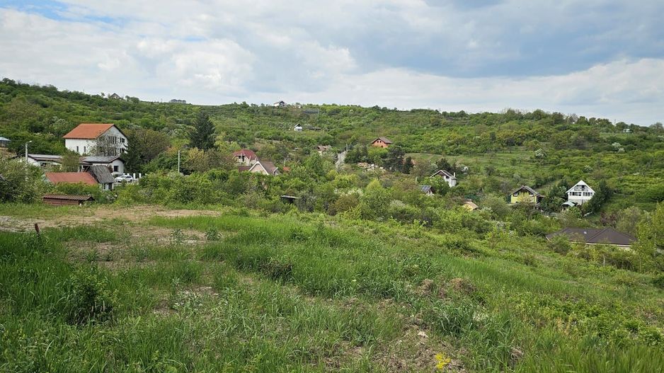 Teren intravilan Podgoria 7000mp - Poză 3
