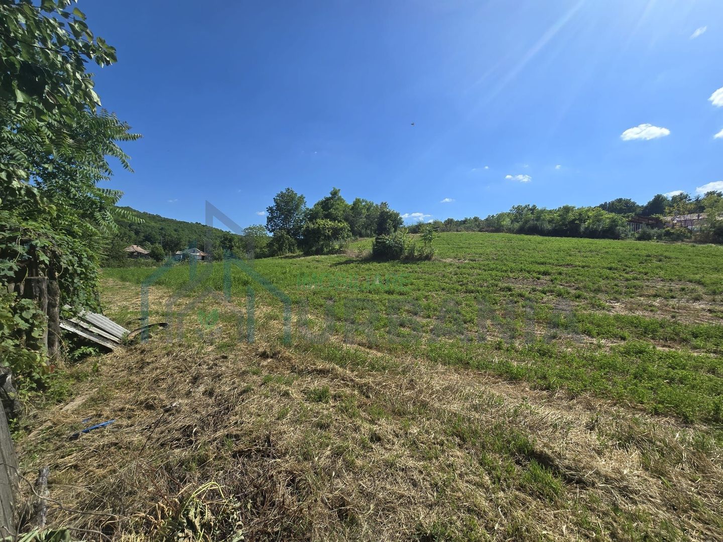 Casă cu teren de 1,4 hectare și vie, în Raducaneni - 3 camere - Poză 3