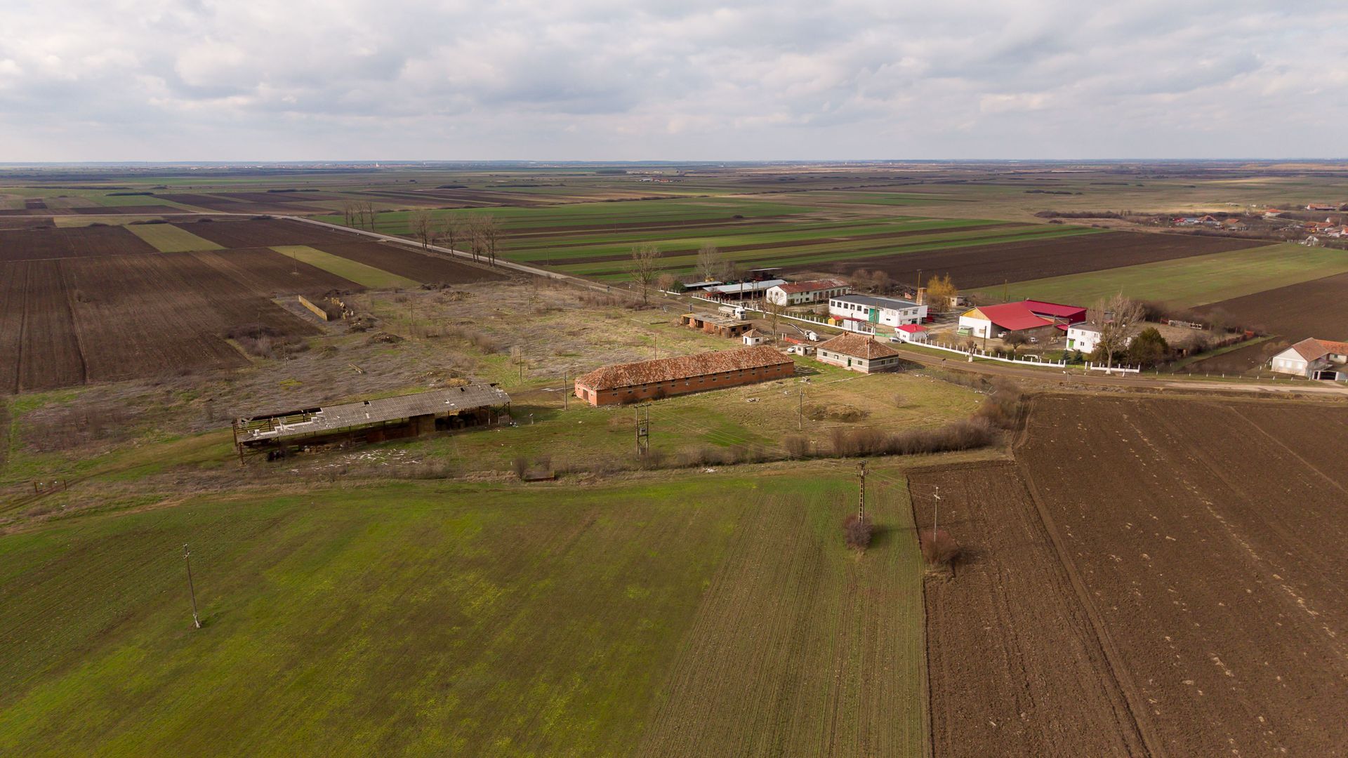 Fermă cu teren intravilan de 35000 mp în Mișca - Poză 10