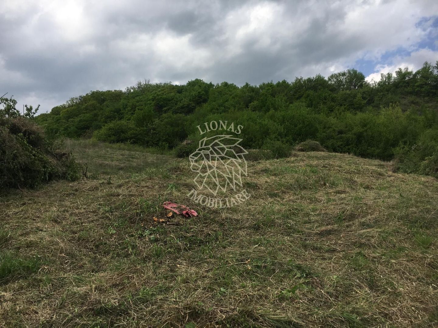 Teren intravilan 700 mp-ideal casa-Dealul Jelnei - Poză 2