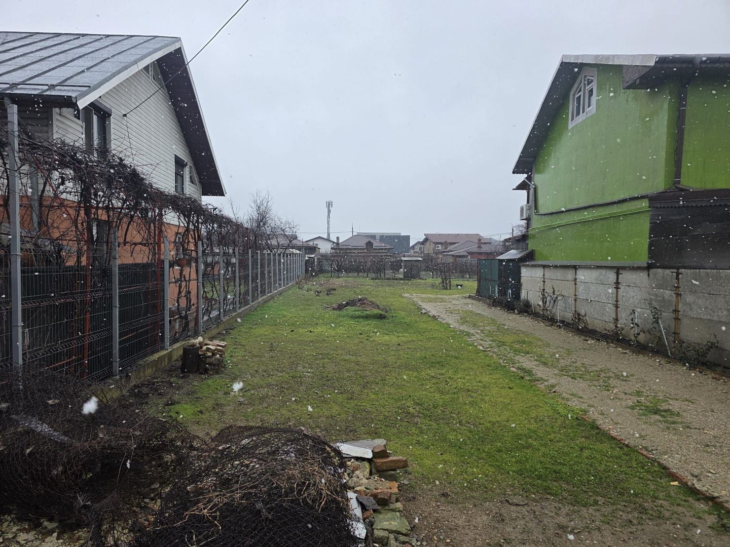 Teren Dobroiesti - Poză 2