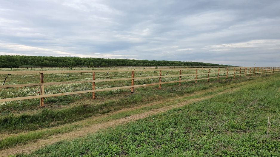 Teren (livada) destinatii multiple, imprejmuit, zona super - Poză 4