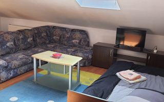 Apartament cu o cameră / Mansardă/ 45 mp/ confort lux/ utilată - Poză 3