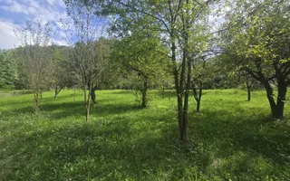 Oportunitate de investiție în Breaza – teren intravilan de 3.591 mp - Poză 12