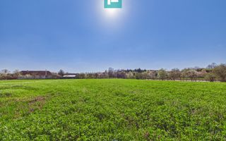 Teren intravilan 3024 mp, în comuna Almaș, Arad - Poză 2