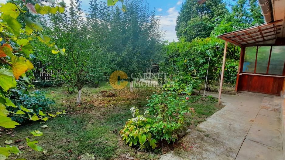 🏡 CASĂ BĂTRÂNEASCĂ LOCUIBILĂ DE VÂNZARE – TRIFEȘTI, IAȘI 🏡 - Poză 2