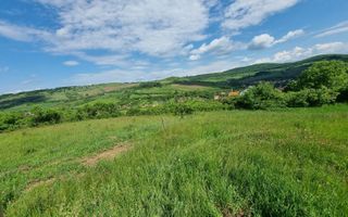 Teren Extravilan de Vânzare – 2.500 mp | Hamba - Poză 4