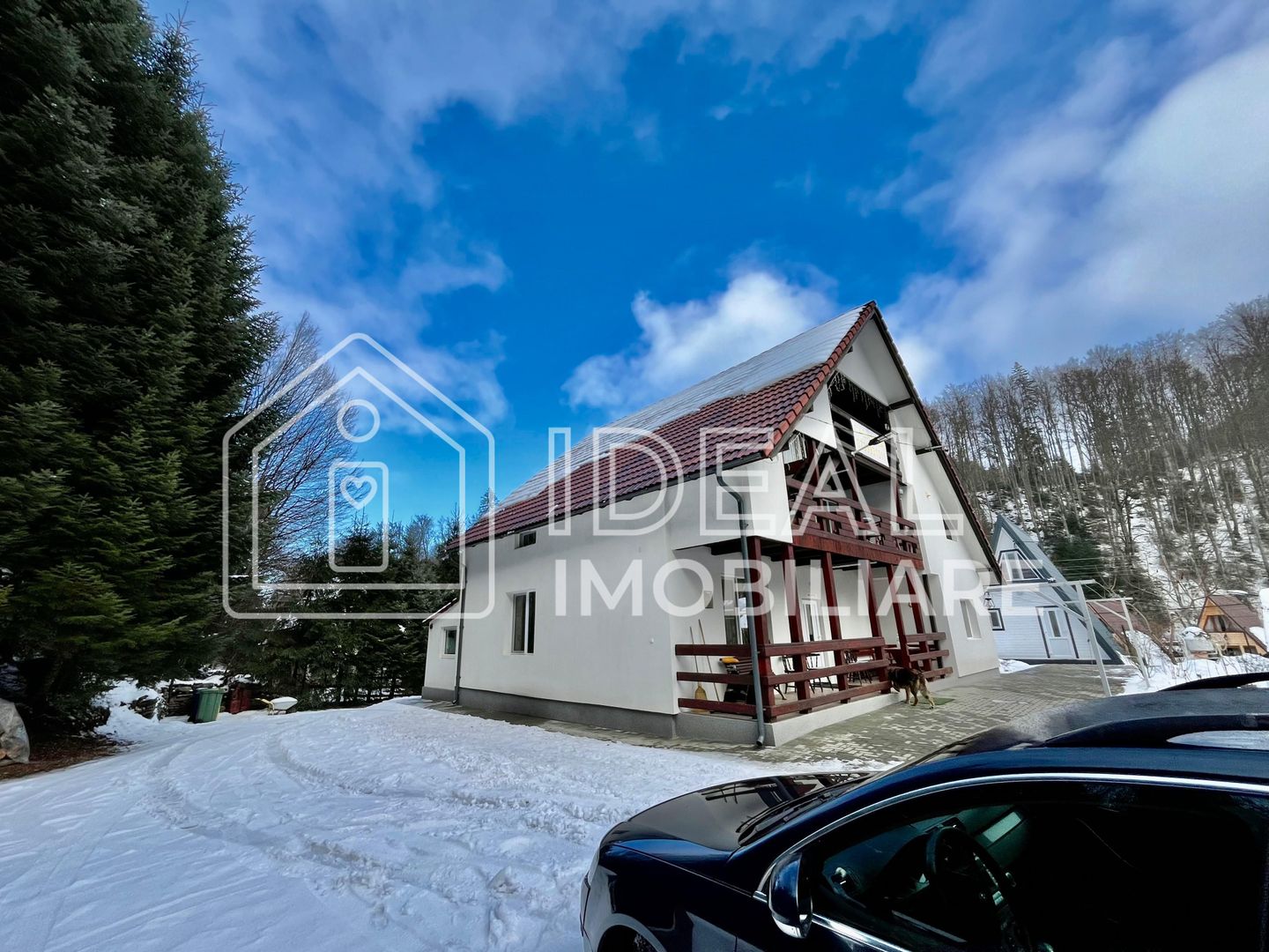 Pensiune de vânzare în Cârțișoara – investiție turistică la poalele munților - Poză 2