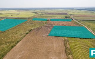 Teren 15Ha cu acces cale ferată - Poză 4