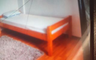 Apartament 1 cameră mobilat, utilat, aproape de Universitatea de Medicină și Universitatea Cuza – Iași, 300 EUR/lună - Poză 2