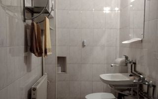 Casă cu grădină, viță de vie și pomi – Gruia, aproape de centru - Poză 7