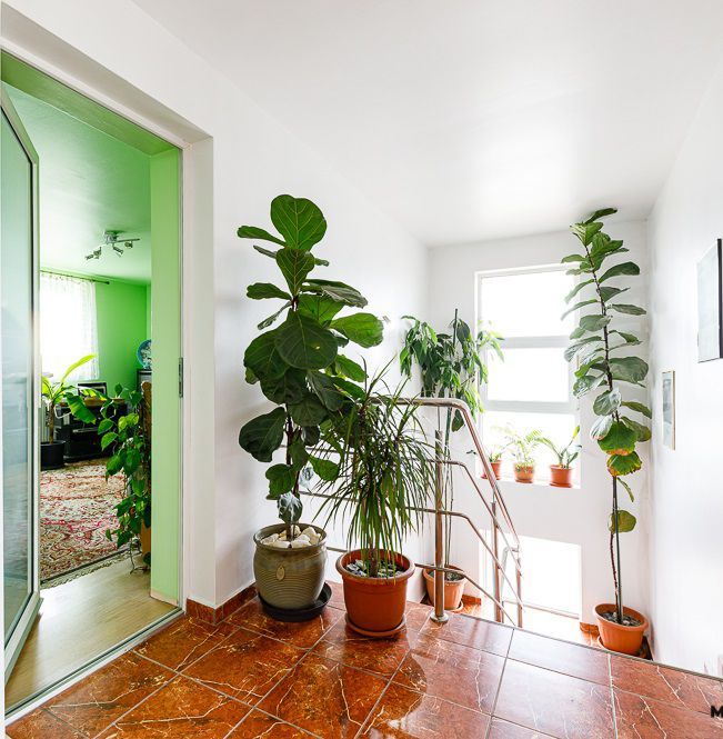 Casă pentru o familie numeroasă în Săcălaz - Poză 11