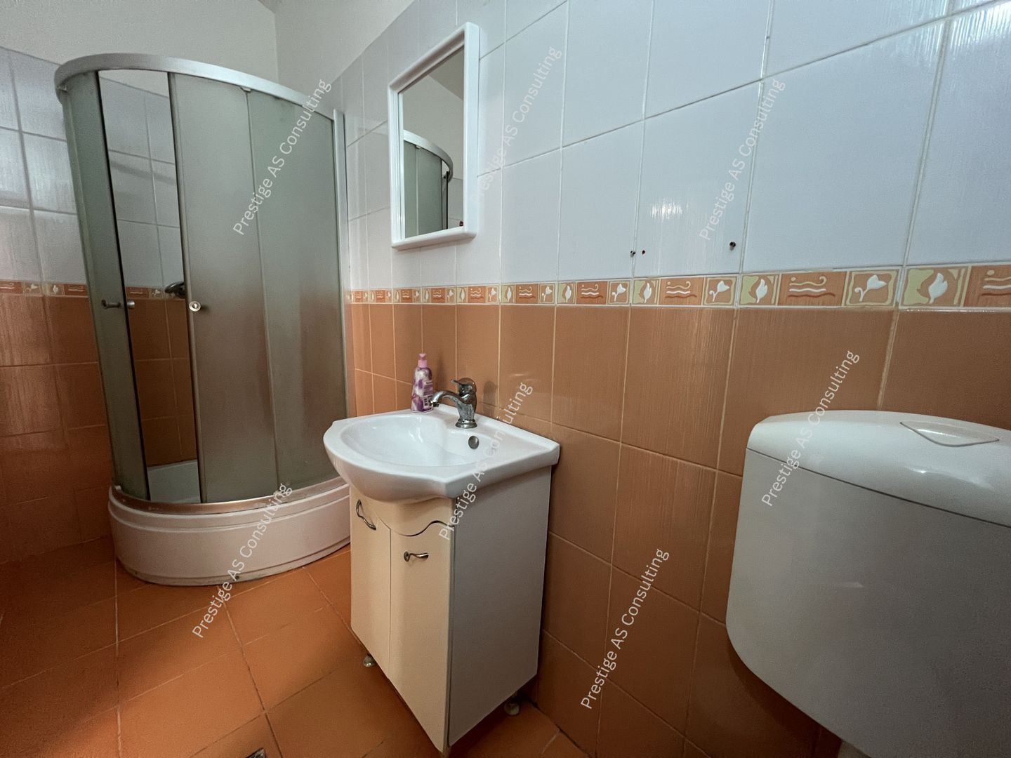 Spatiu comercial | 44mp utili | Demisol Zona Balcescu - Poză 6