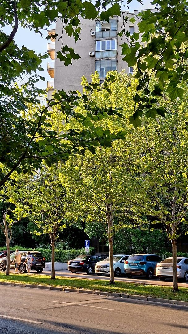 De închiriat spațiu de birou - Garsonieră - parter -  Metrou Dristor - Poză 8