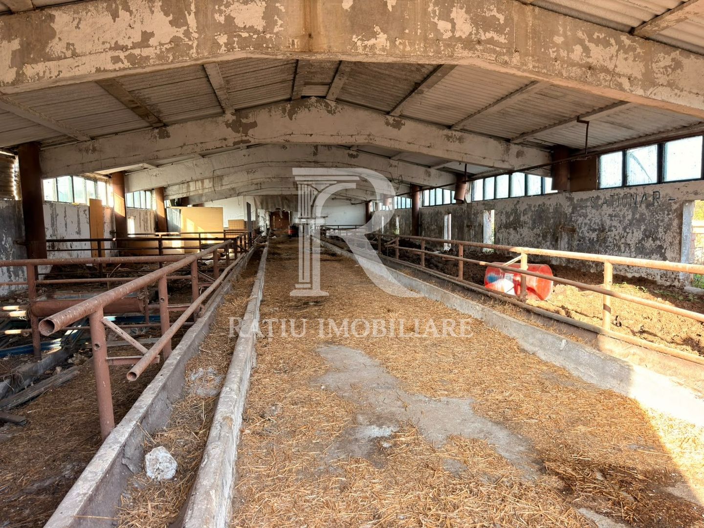Fermă Sărand | Bihor | 25.659 mp teren intravilan - Poză 10