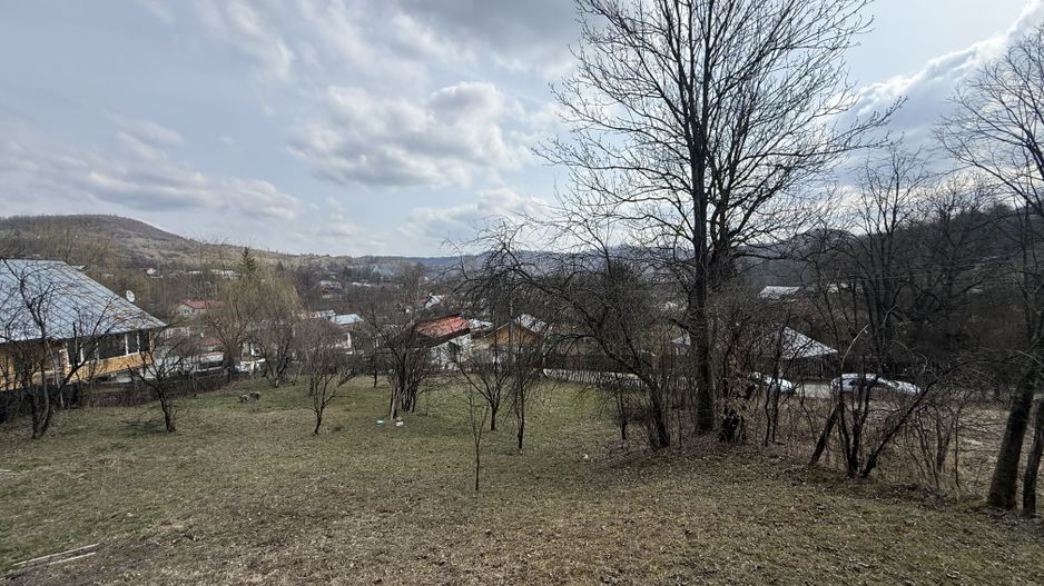 Teren 6040 mp la baza pădurii deschidere 40 ml - Poză 2