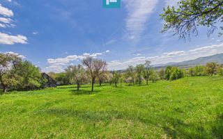 Proprietate rară cu 24.270 mp, în Măgulicea, Arad! - Poză 23