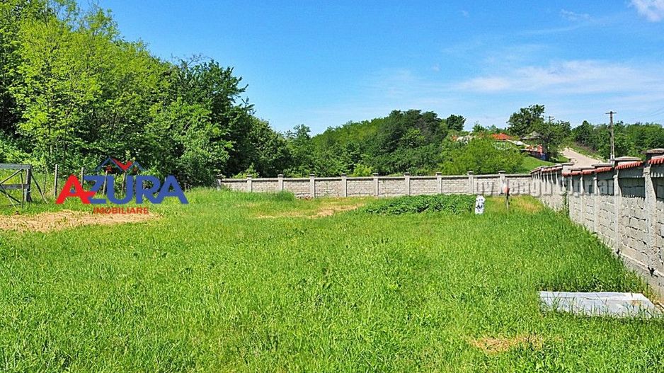 Vanzare vila Albota - Mares - Poză 2