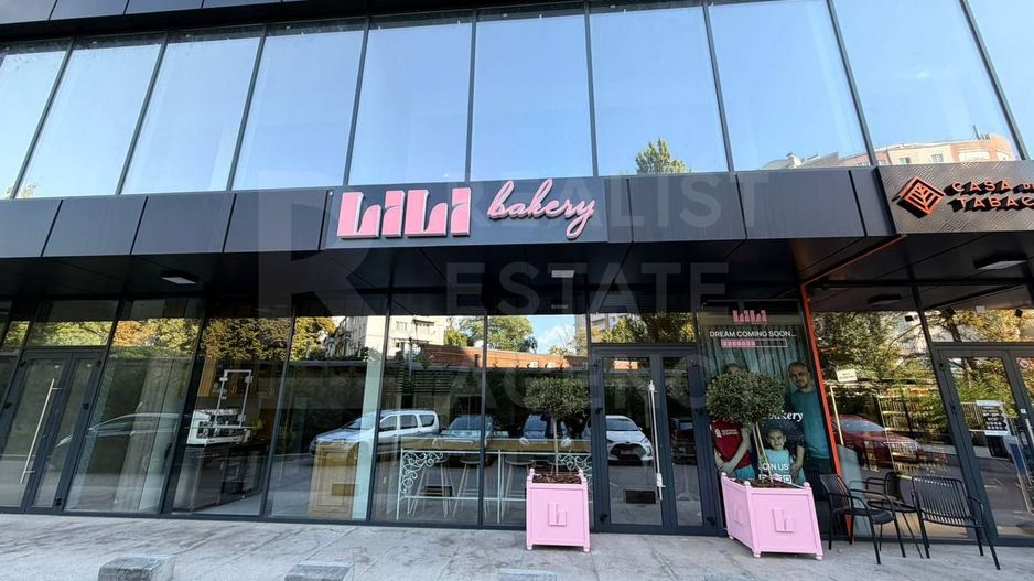 Vânzare, spațiu comercial, 148,7 mp, str. Vasile Lupu, Buiucani - Poză 2