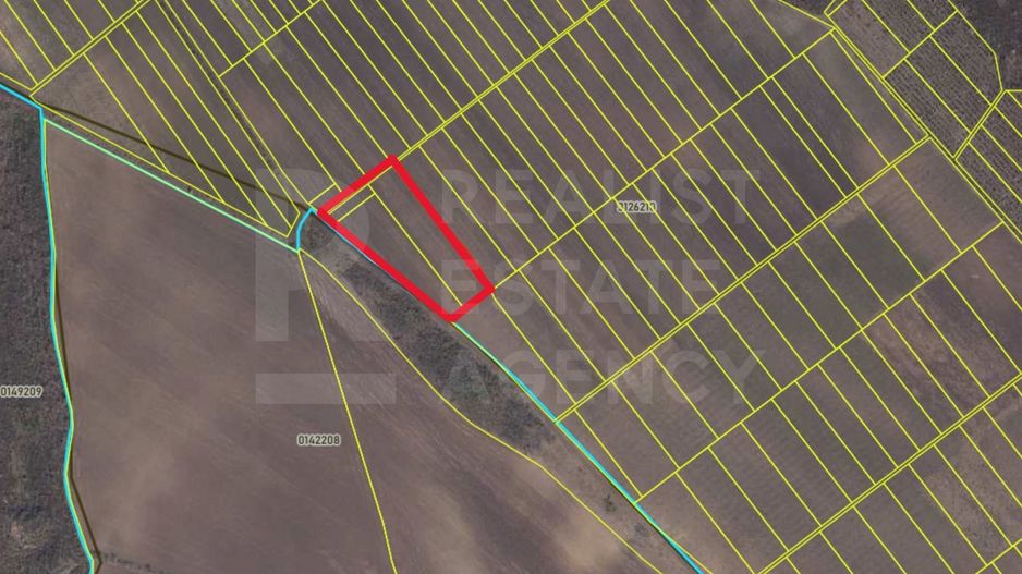 Vânzare, teren agricol, 161 ari, satul Dolinnoe, Criuleni - Poză 1