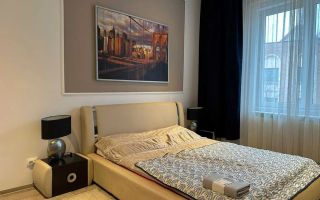 Chirie I Apartament 2 camere I Romana I Vila - Poză 1