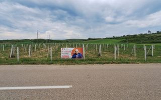 Teren intravilan cu PLANTATIE DE GOJII de vanzare in Racari - Poză 11