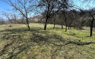 Teren Govora / 8131mp - Poză 3