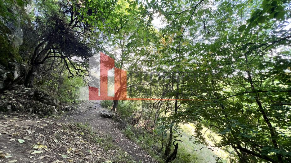 Teren de vânzare langa  Peștera Liliecilor  in Sat Pestera - Poză 7