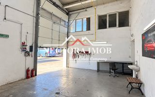 NECTORA IMOB-SpatiI industriale cu incalzire pe gaz,Acces TIR,Uzinelor - Poză 10