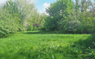 Teren de vanzare Iasi - Poză 3