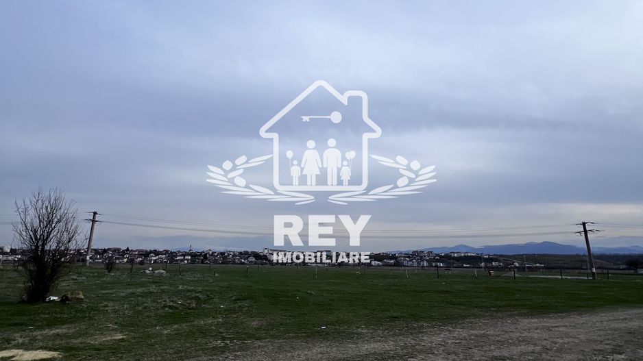 Teren Arabil Turnișor - Spre ferma de pui - Poză 6