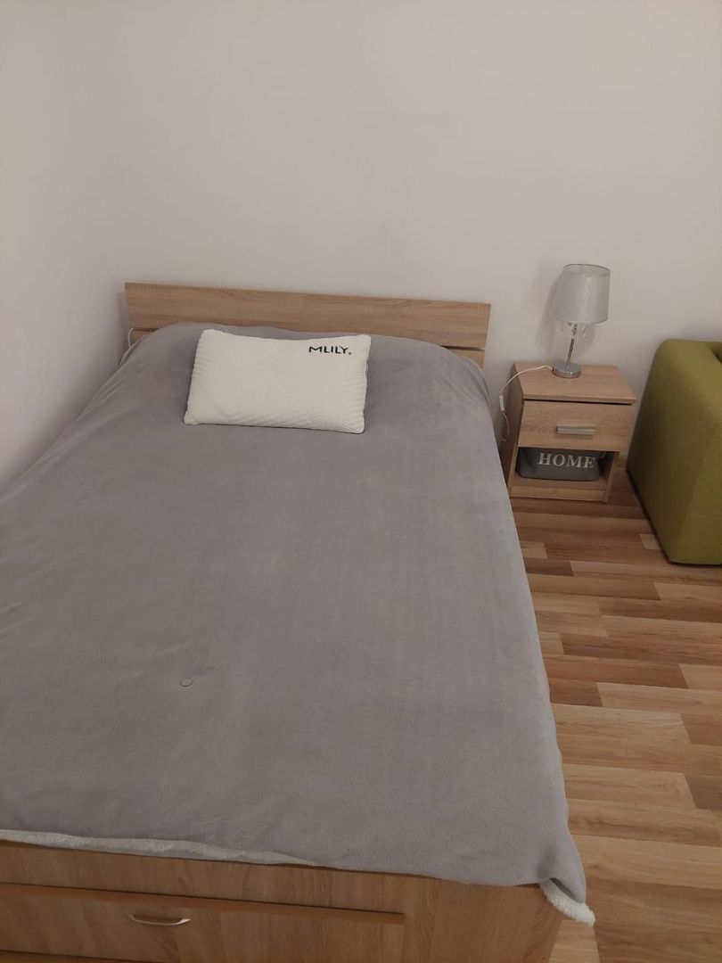 Garsoniera zona Costin Georgian - Lucretiu Patrascanu - Poză 10