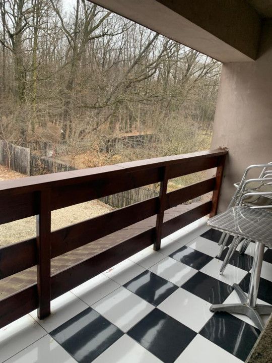 Inchiriere Vila Gavana, langa padure - Poză 5