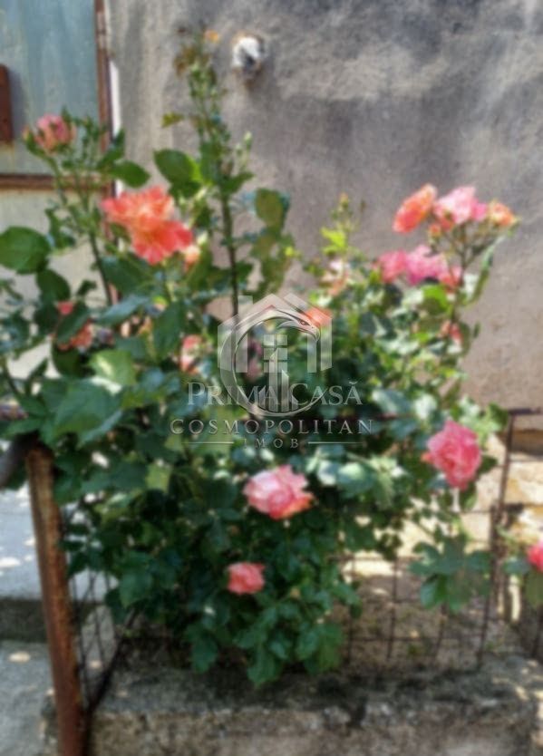 Casa zona Dorobanti teren 500mp toate utilitatile 58.000 euro - Poză 8