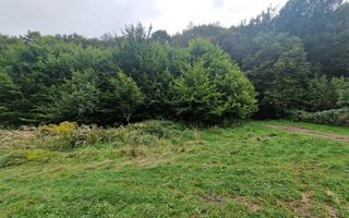 Teren Intravilan de vanzare Bistrita | 795 mp, priveliște panoramică - Poză 13