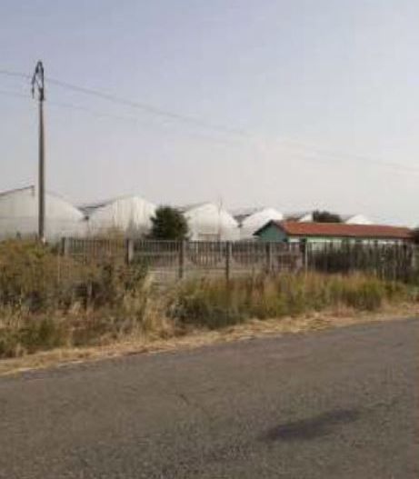 spatiu industrial Uivar Timis - Poză 6