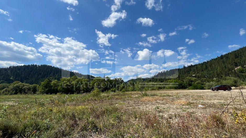 TEREN INTRAVILAN 2,26 HA | SUCEVITA | - Poză 8