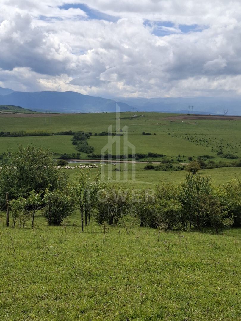 De vanzare, teren 11.500 mp – Dealul Dăii,  Vedere panoramică spre munți și lac - Poză 10