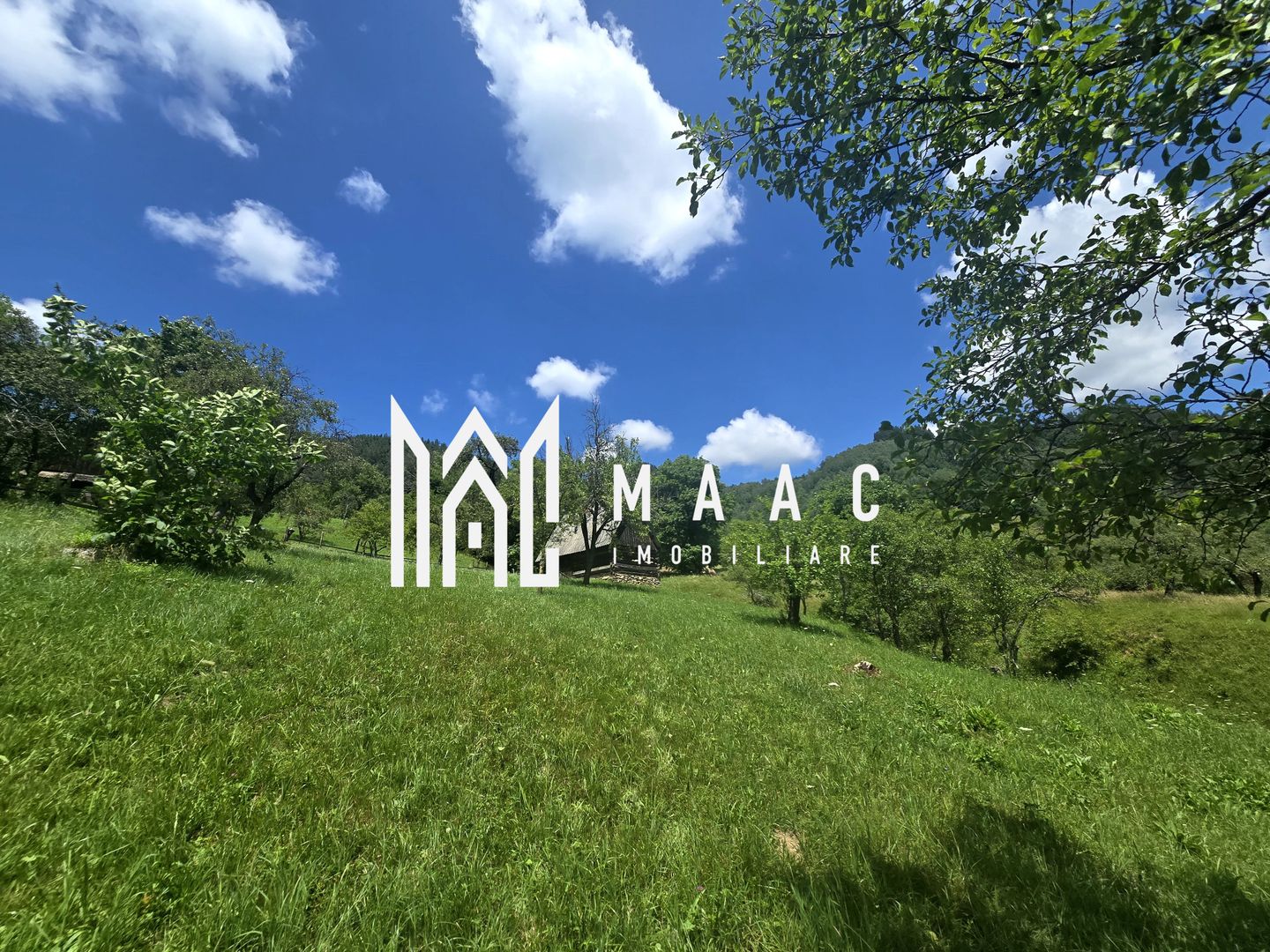 Teren | 2946MP | Priveliște Panoramică | Râu Sadului - Poză 6