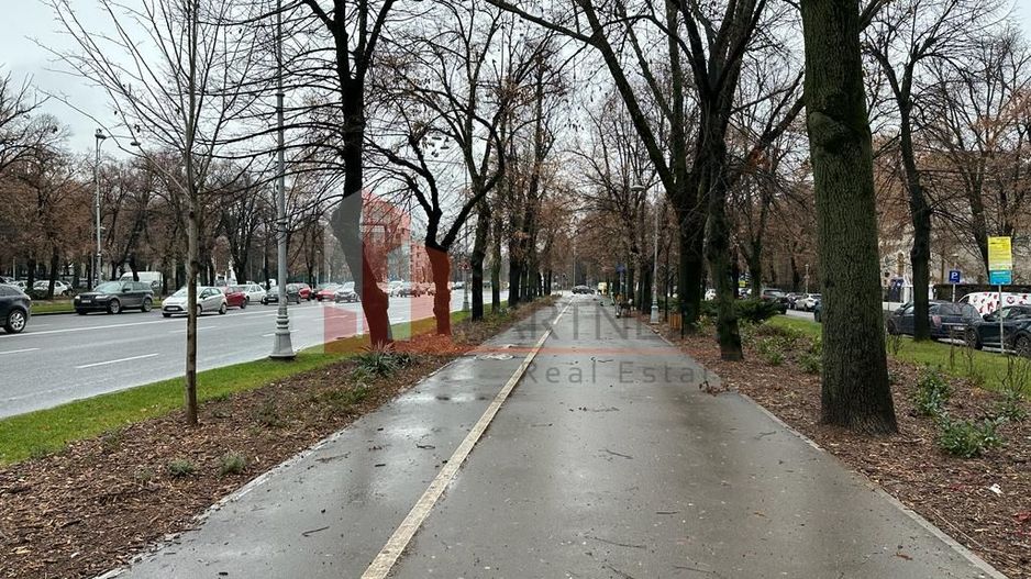 Unic, intre Victoriei si Charles de Gaulle - Poză 2
