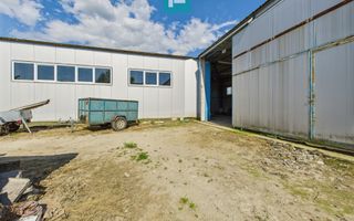 Clădire cu 5 camere cu teren și hală în Cenad - Poză 19