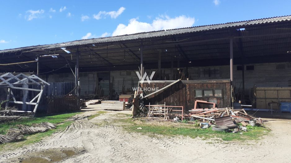Spatiu industrial-baza depozitare cu cale ferata-Arpasu de Jos - Sibiu - Poză 9