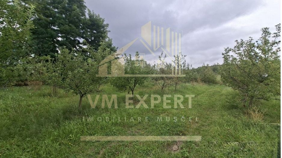 TEREN 20.621 MP CAMPULUNG - Poză 5