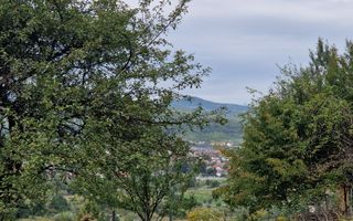 Teren Intravilan de vanzare Bistrita | 795 mp, priveliște panoramică - Poză 8