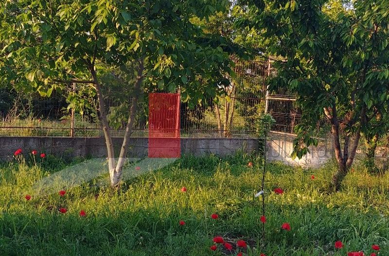 Casa individuala Valu lu Traian - curte 767 mp - Poză 7