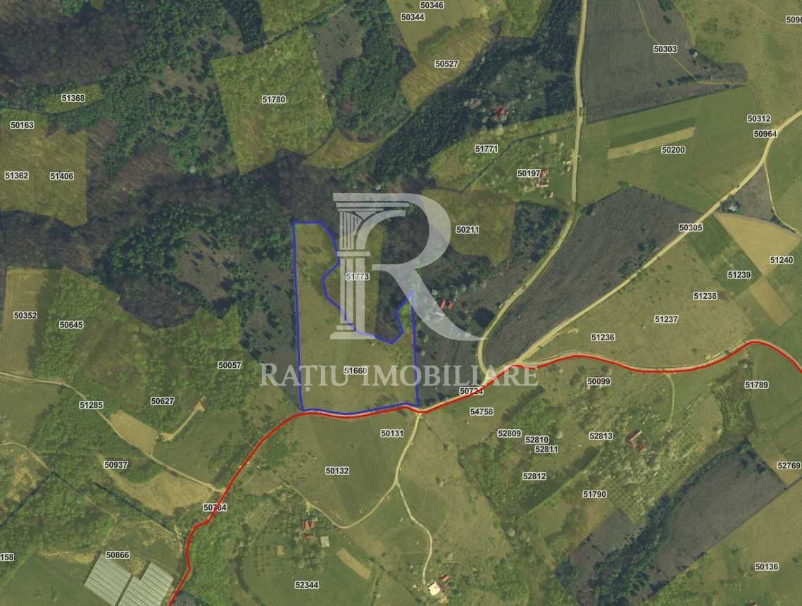 Teren de vânzare | 30500 mp | Priveliște superba | Sinteu | Bihor - Poză 1