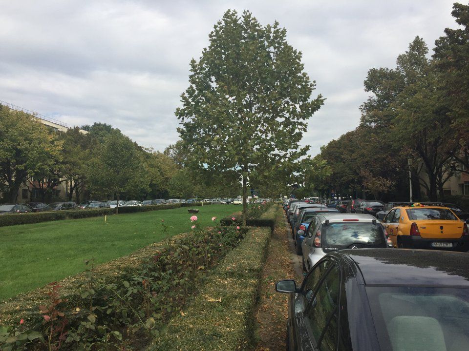 Apartament cochet Aleea Circului - Poză 11