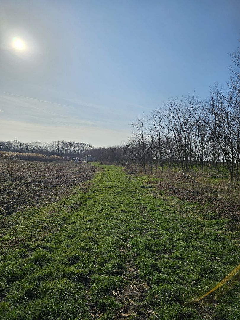 Teren extravilan pentru balastiera Biharia - Poză 2